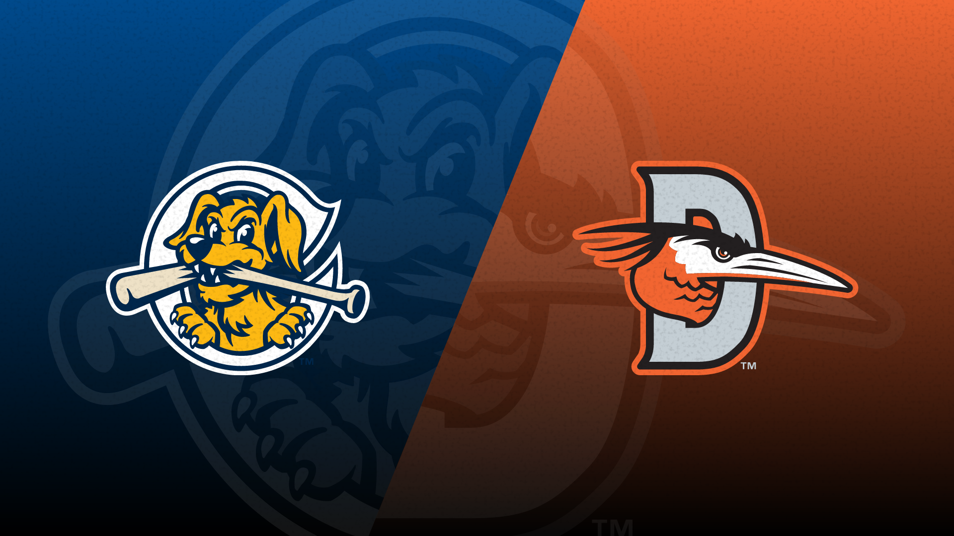 Watch Charleston RiverDogs @ Delmarva Shorebirds on Bally Sports Live